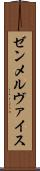 ゼンメルヴァイス Scroll