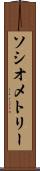 ソシオメトリー Scroll