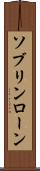 ソブリンローン Scroll
