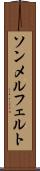 ソンメルフェルト Scroll