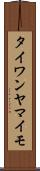 タイワンヤマイモ Scroll