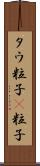 タウ粒子 Scroll