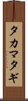 タカマタギ Scroll