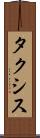 タクシス Scroll
