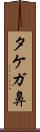 タケガ鼻 Scroll