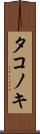 タコノキ Scroll