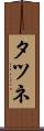 タツネ Scroll