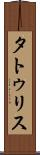 タトゥリス Scroll