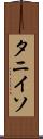 タニイソ Scroll