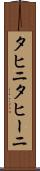 タヒニ Scroll