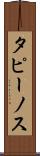 タピーノス Scroll