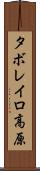 タボレイロ高原 Scroll