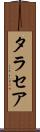 タラセア Scroll