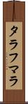 タラフマラ Scroll