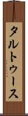 タルトゥース Scroll