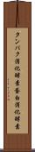 タンパク消化酵素 Scroll
