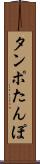 タンポ Scroll