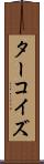 ターコイズ Scroll