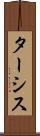 ターシス Scroll