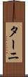 ターニ Scroll
