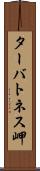 ターバトネス岬 Scroll