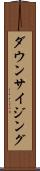 ダウンサイジング Scroll