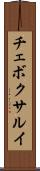 チェボクサルイ Scroll