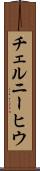 チェルニーヒウ Scroll