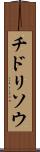 チドリソウ Scroll