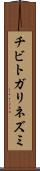 チビトガリネズミ Scroll