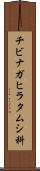 チビナガヒラタムシ科 Scroll