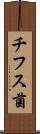 チフス菌 Scroll