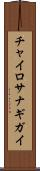 チャイロサナギガイ Scroll