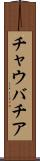 チャウバチア Scroll