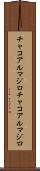 チャコアルマジロ Scroll