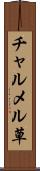 チャルメル草 Scroll