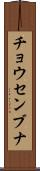 チョウセンブナ Scroll
