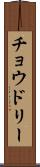 チョウドリー Scroll