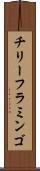 チリー・フラミンゴ Scroll