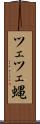 ツェツェ蝿 Scroll