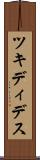 ツキディデス Scroll
