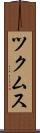 ツクムス Scroll
