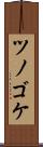 ツノゴケ Scroll