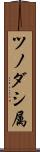 ツノダシ属 Scroll
