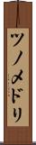 ツノメドリ Scroll