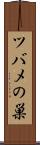 ツバメの巣 Scroll