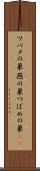 ツバメの巣 Scroll