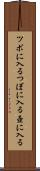 ツボに入る Scroll