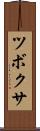 ツボクサ Scroll