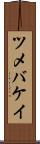 ツメバケイ Scroll